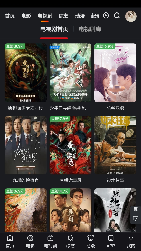 追影猫电视剧内容库